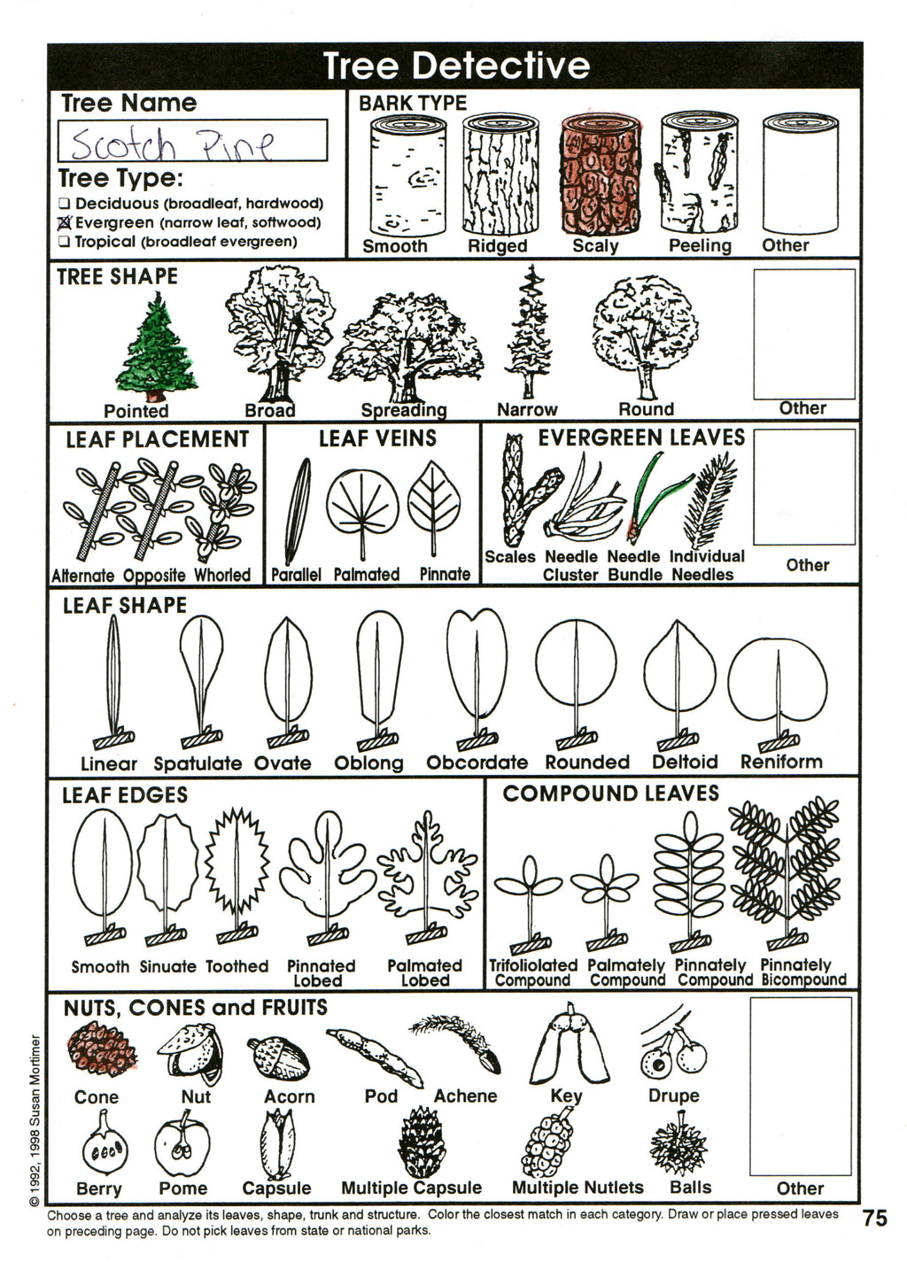Considering God's Creation Set [PDF & MP3]
