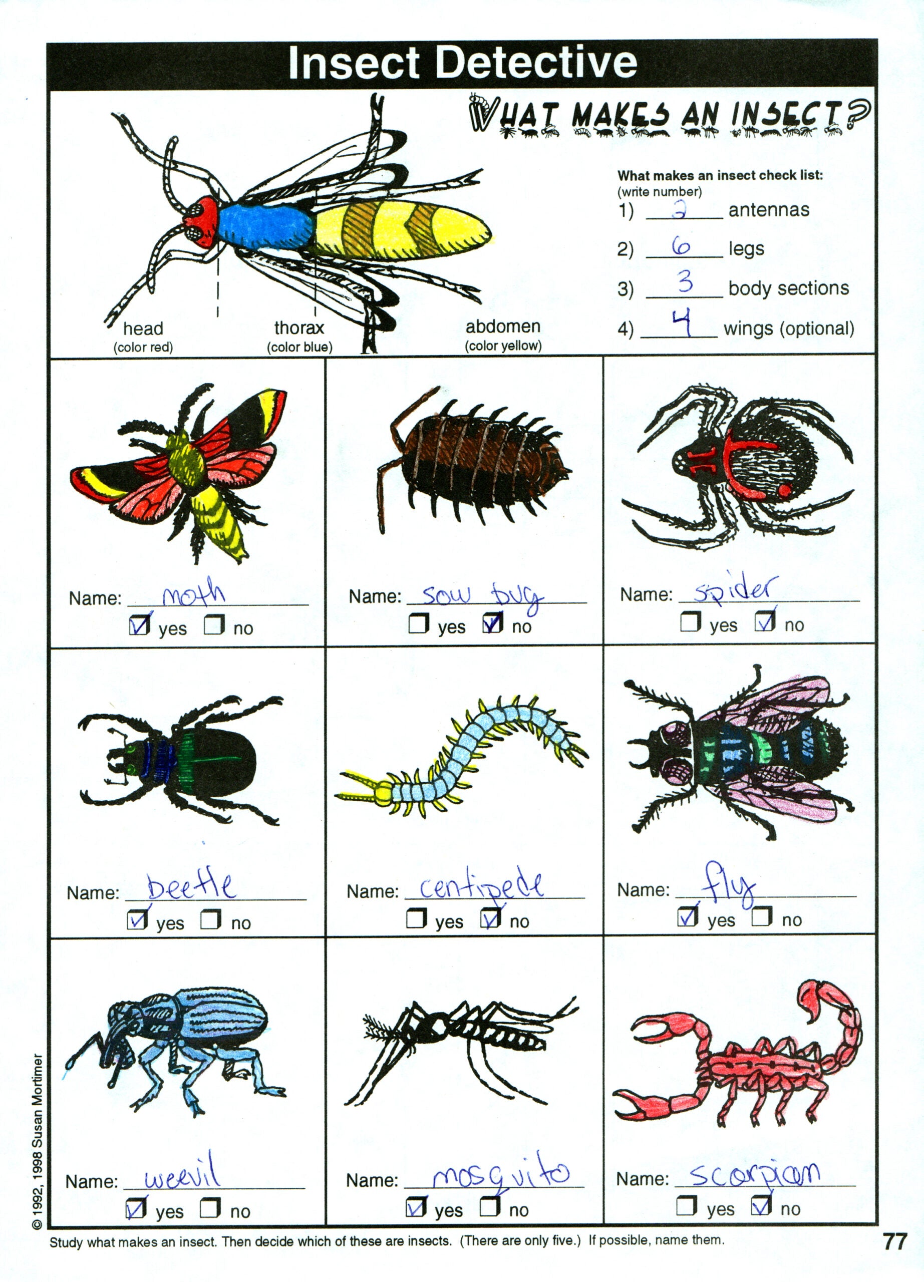 Considering God's Creation Set [PDF & MP3]
