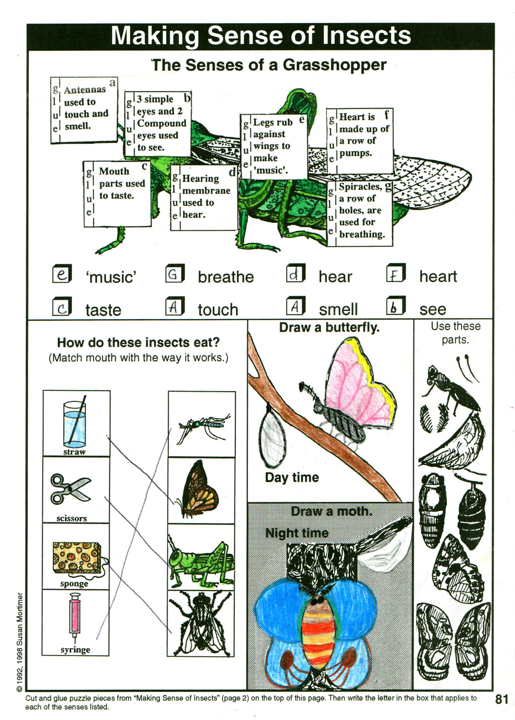 Considering God's Creation Set [PDF & MP3]