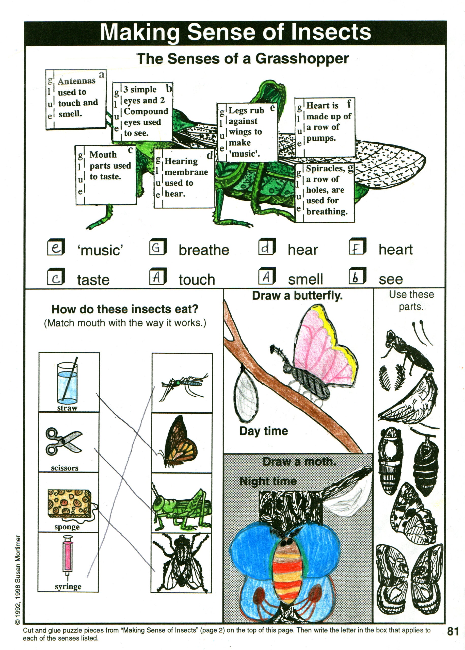 Considering God's Creation Set [PDF & MP3]