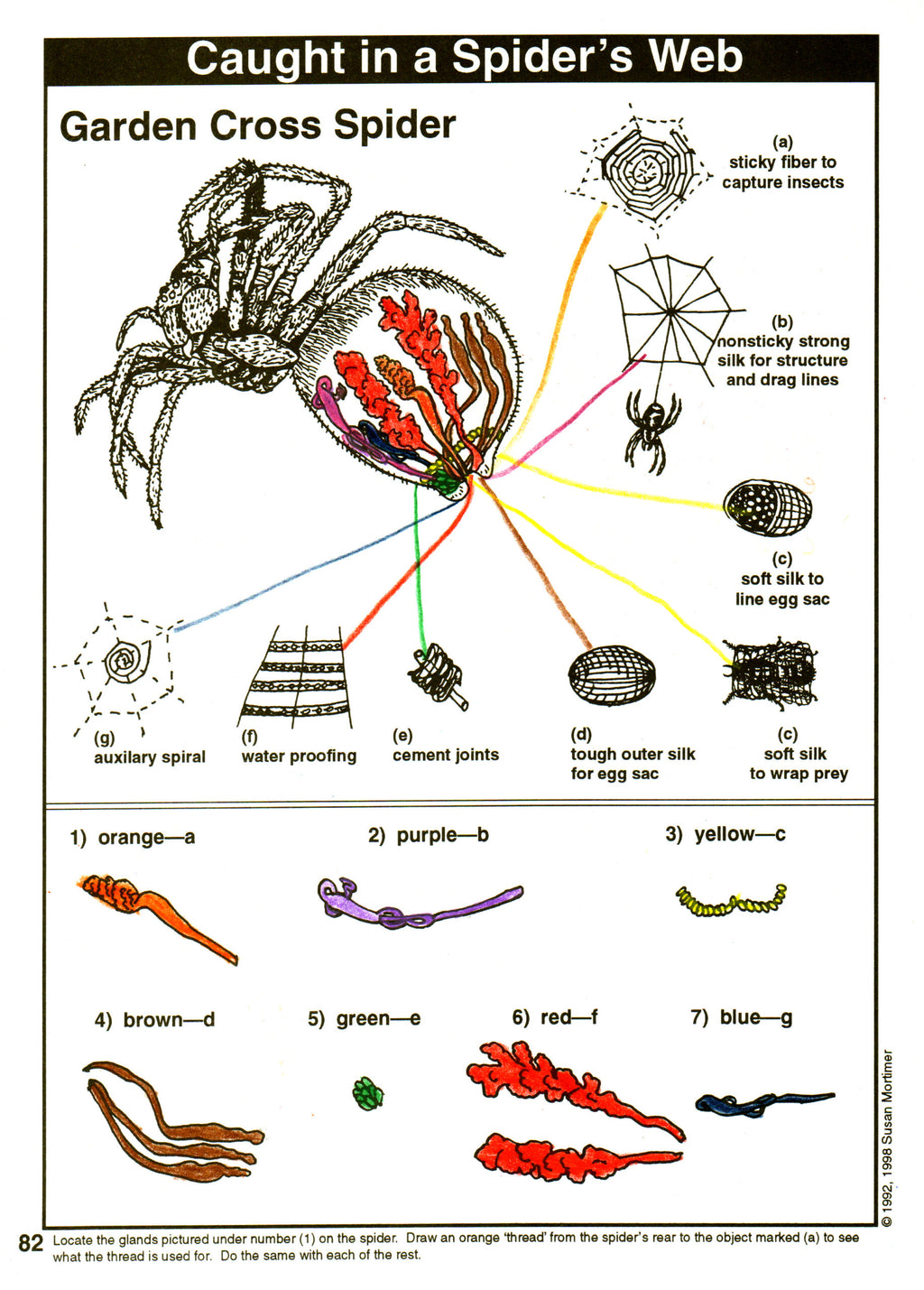Considering God's Creation Set [PDF & MP3]