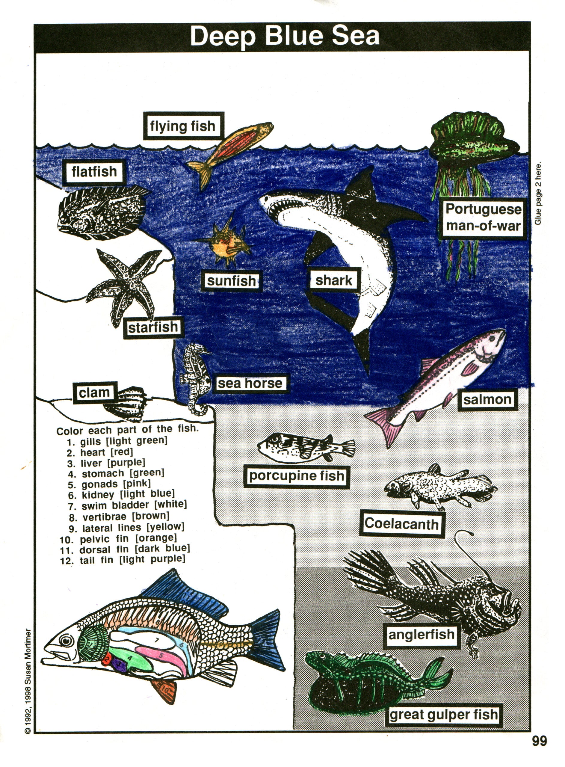 Considering God's Creation Set [PDF & MP3]