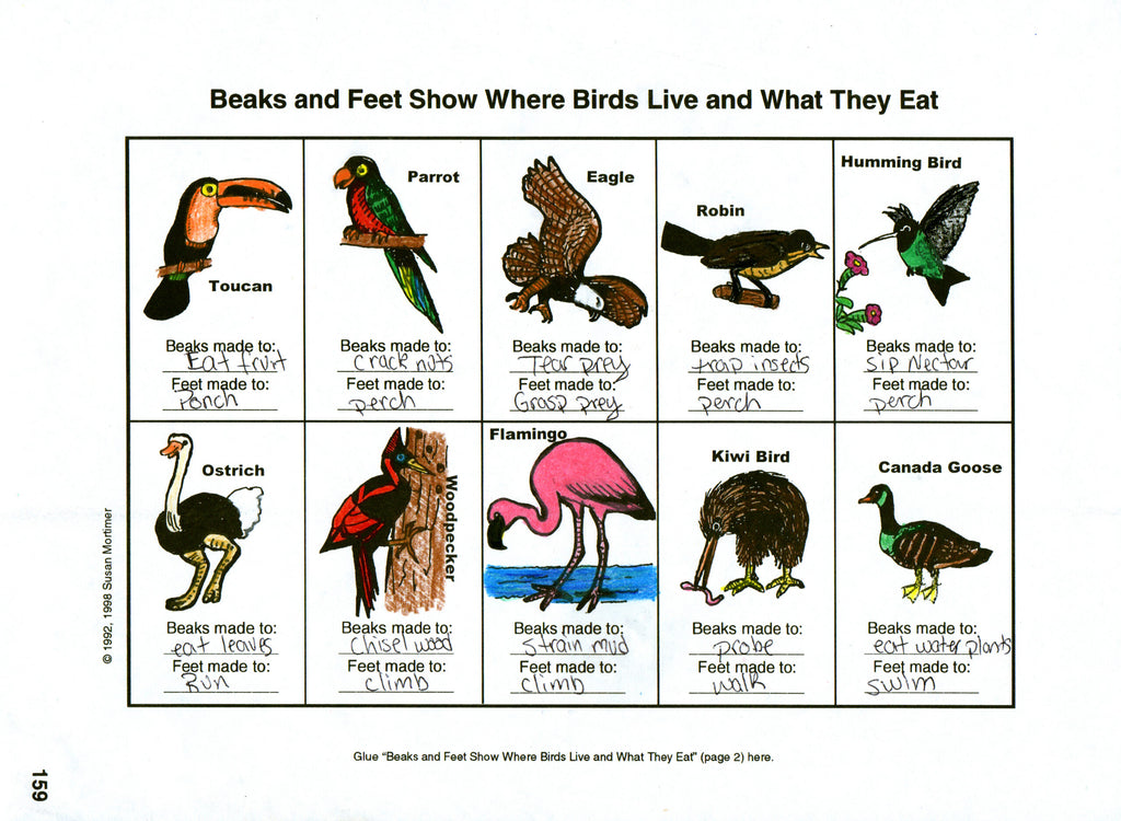 Considering God's Creation Set [PDF & MP3]