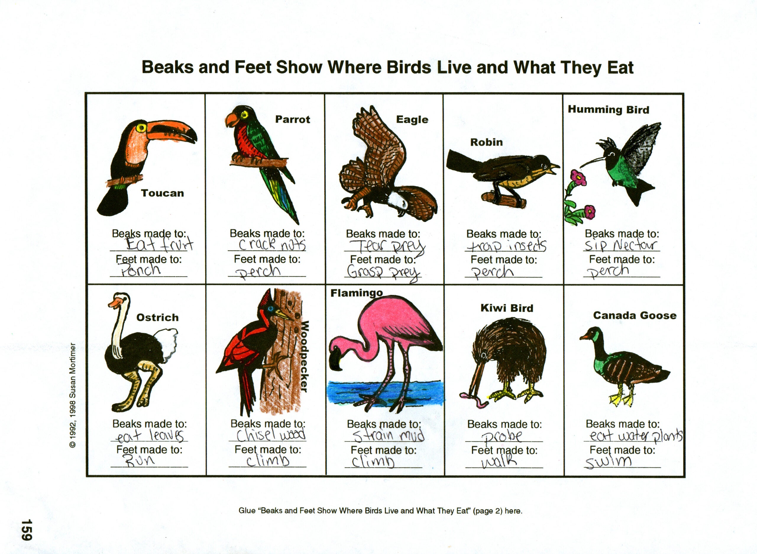 Considering God's Creation Set [PDF & MP3]