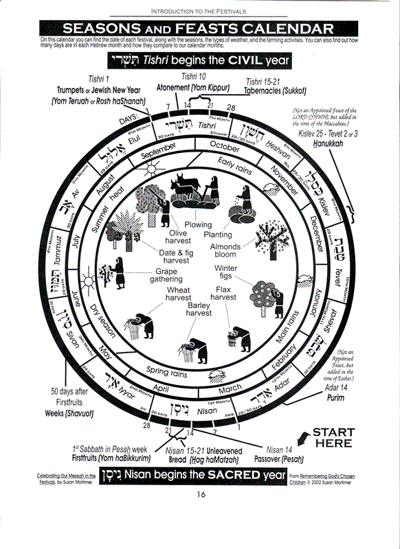Celebrating Our Messiah in the Festivals