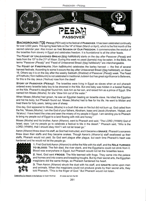 Celebrating Our Messiah in the Festivals