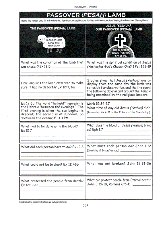 Celebrating Our Messiah in the Festivals