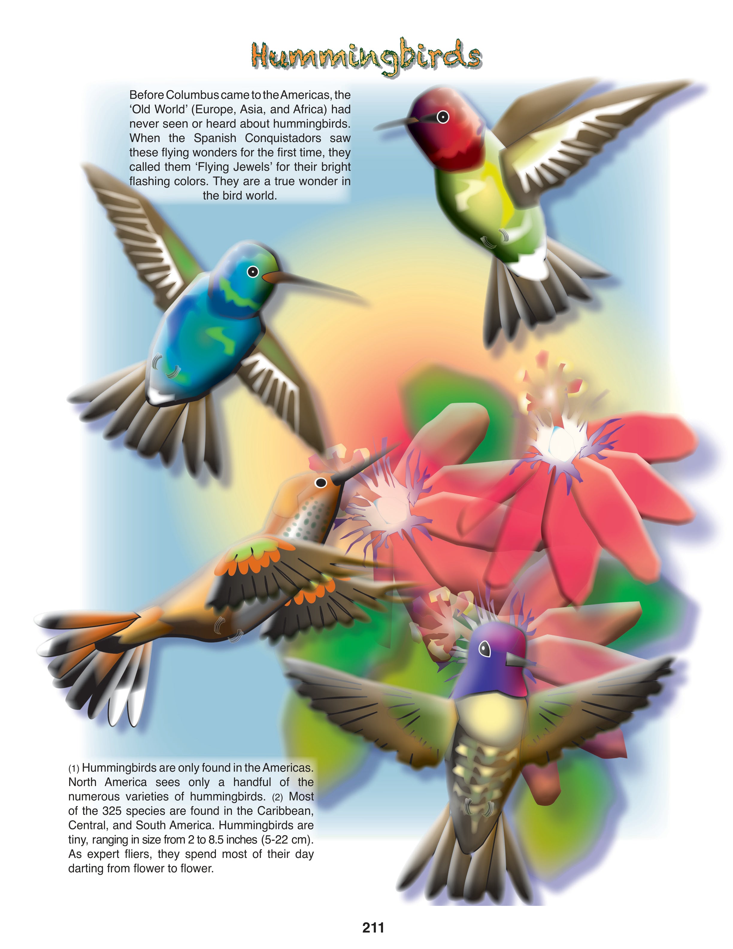 The Puzzling Superpowers of Birds Set