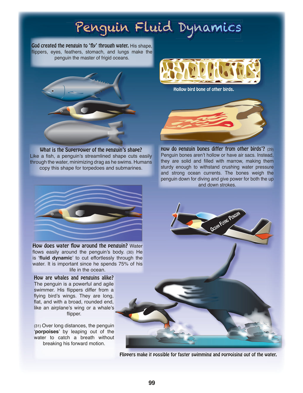 The Puzzling Superpowers of Birds Set