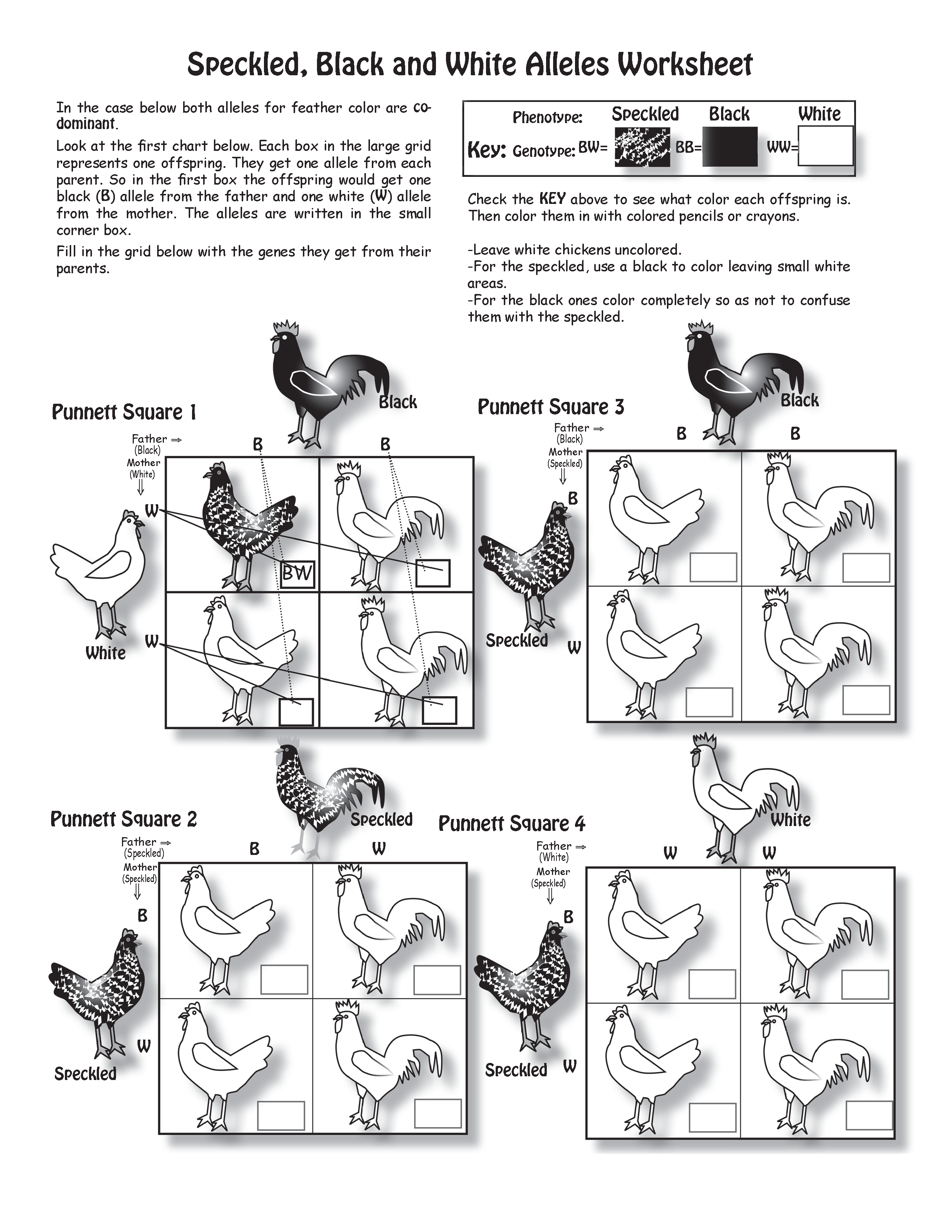 The Puzzling Superpowers of Birds Workbook