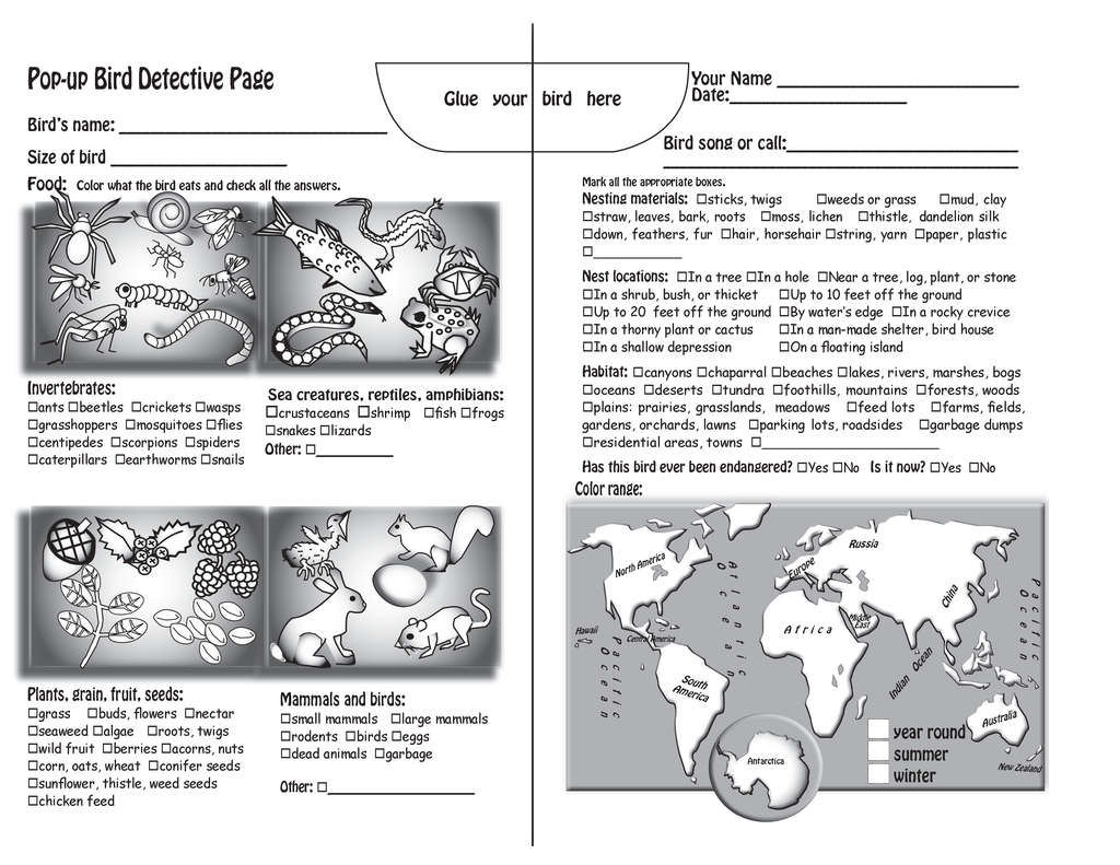 The Puzzling Superpowers of Birds Workbook