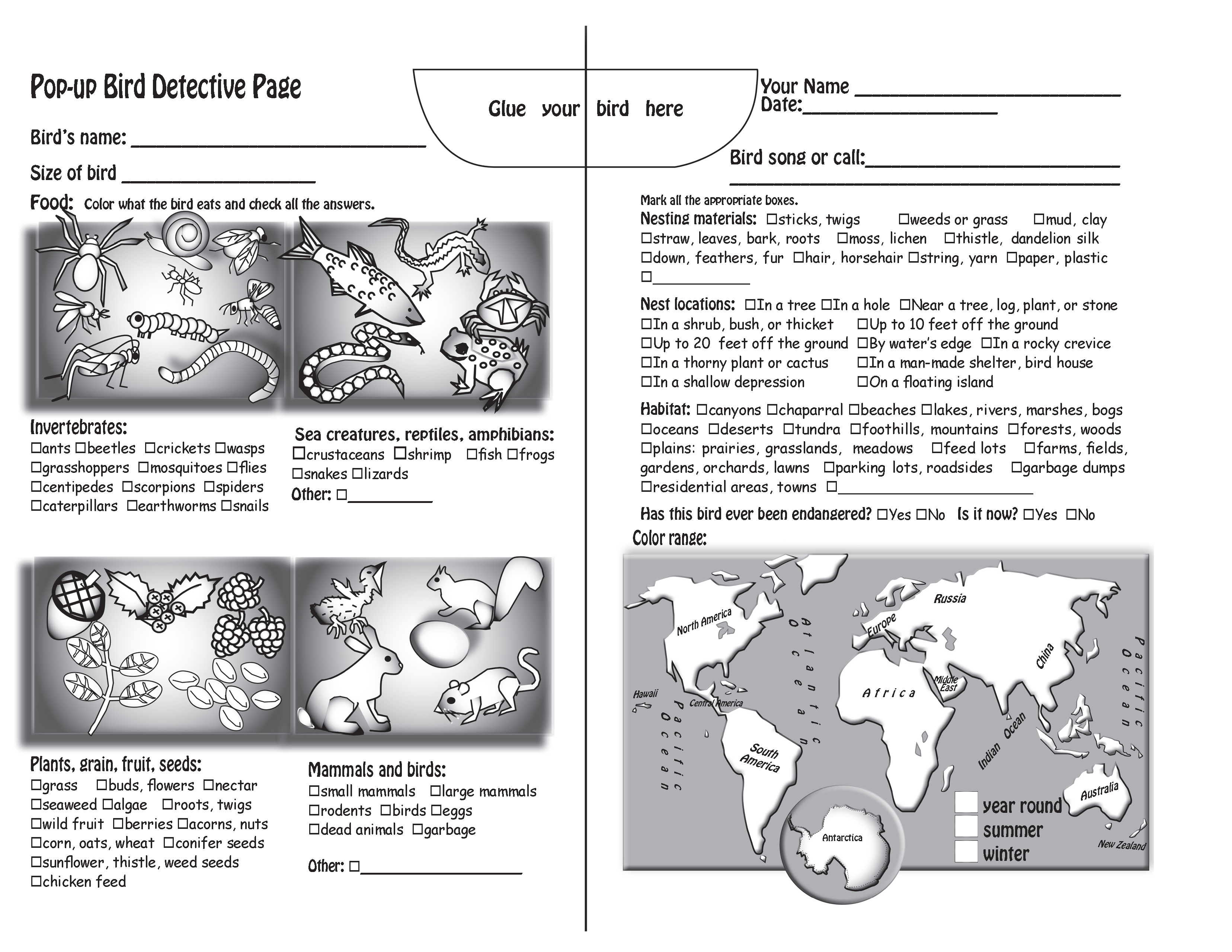 The Puzzling Superpowers of Birds Workbook