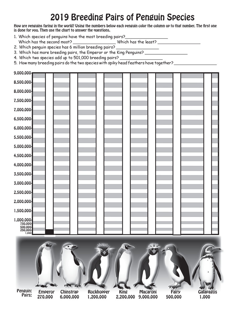 The Puzzling Superpowers of Birds Workbook