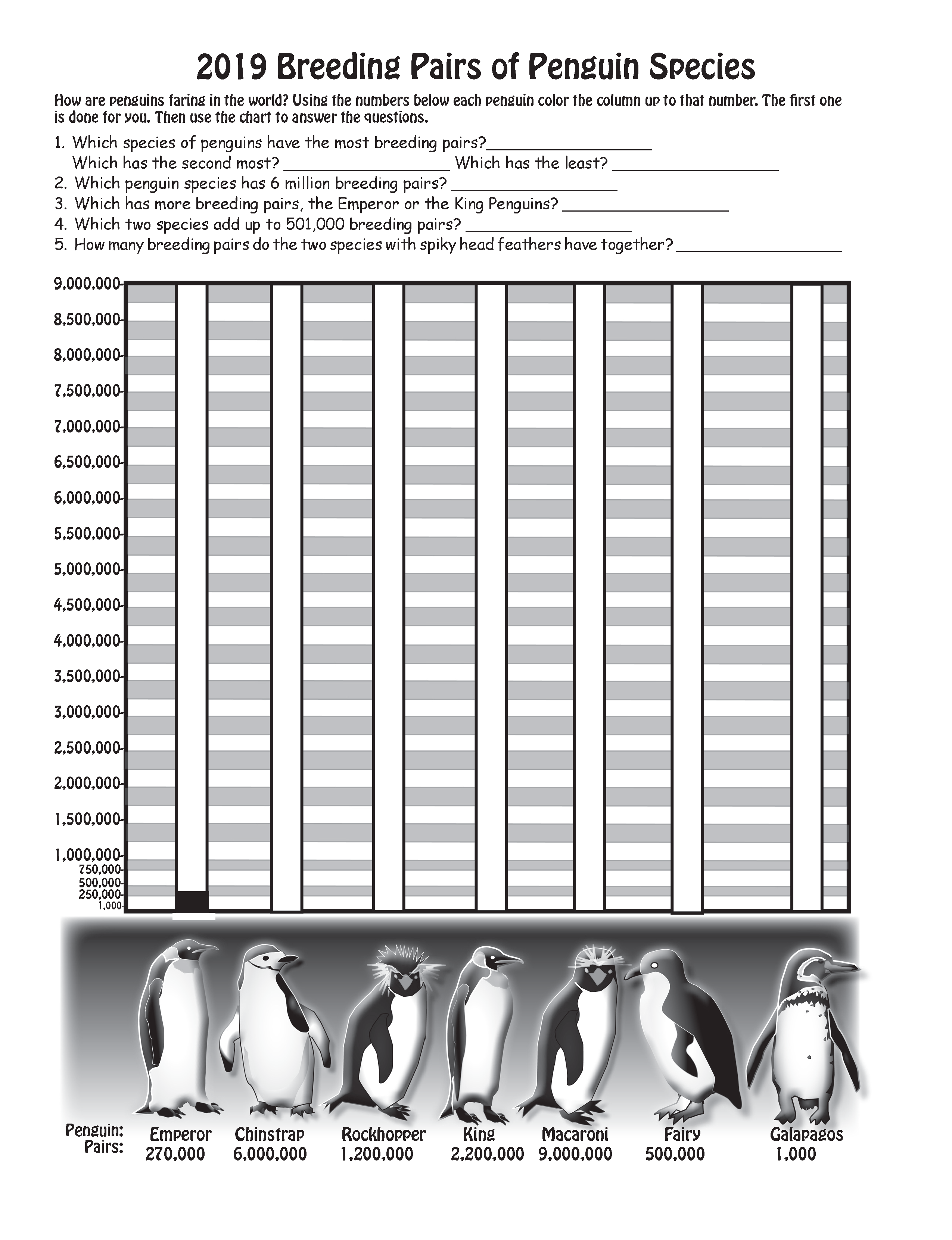 The Puzzling Superpowers of Birds Workbook