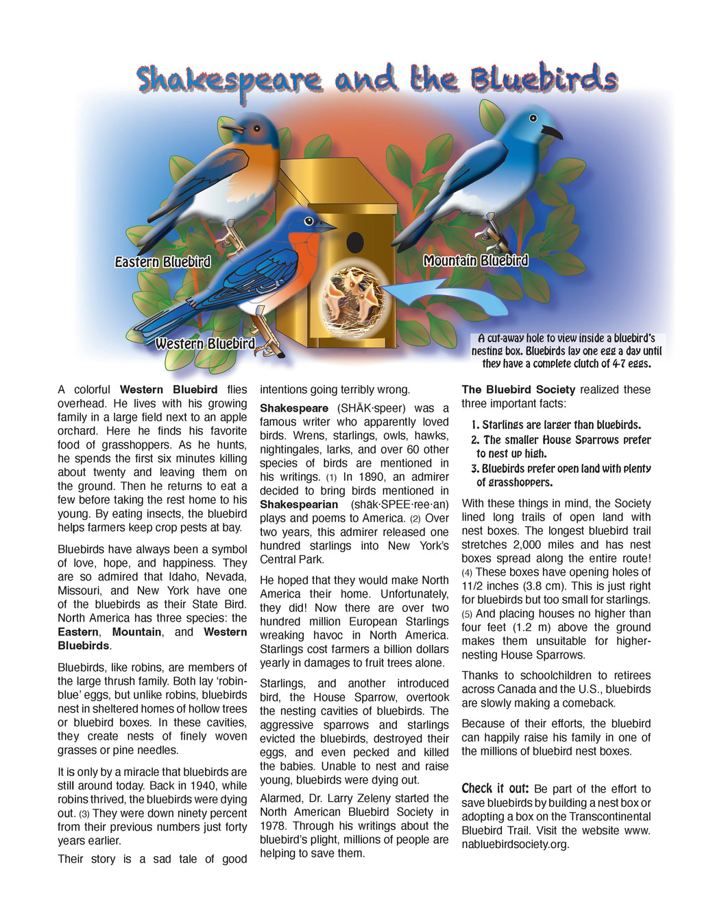 The Puzzling Superpowers of Birds