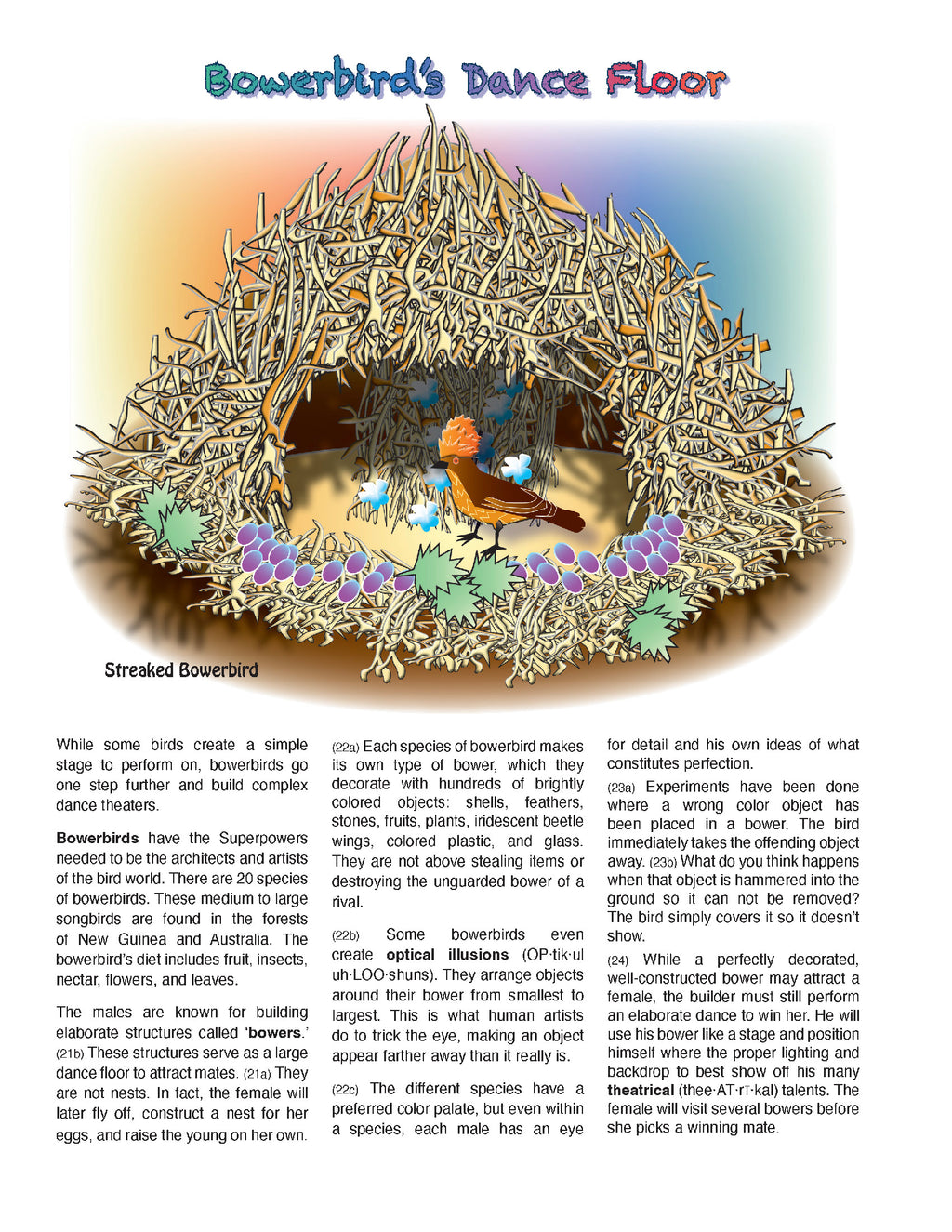 The Puzzling Superpowers of Birds