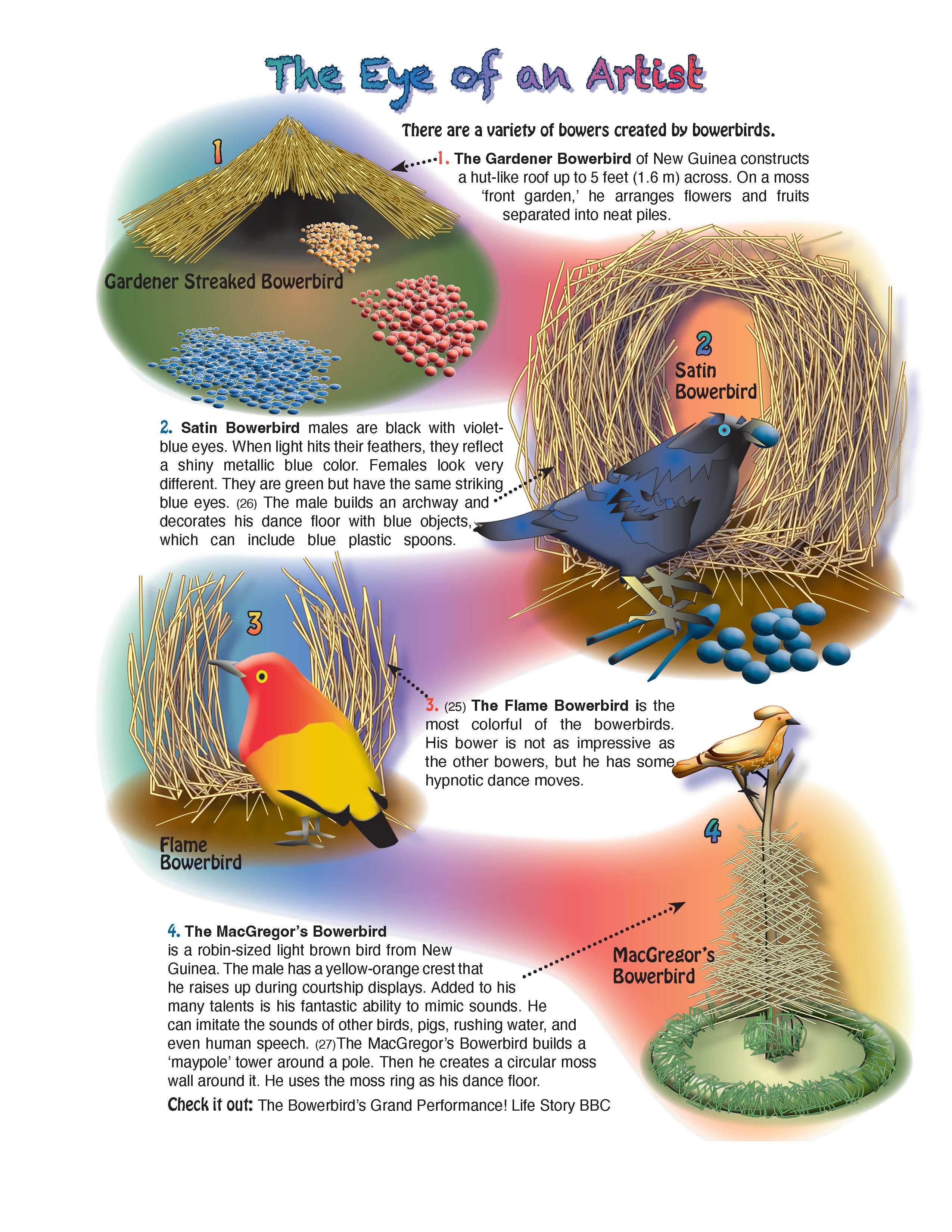 The Puzzling Superpowers of Birds