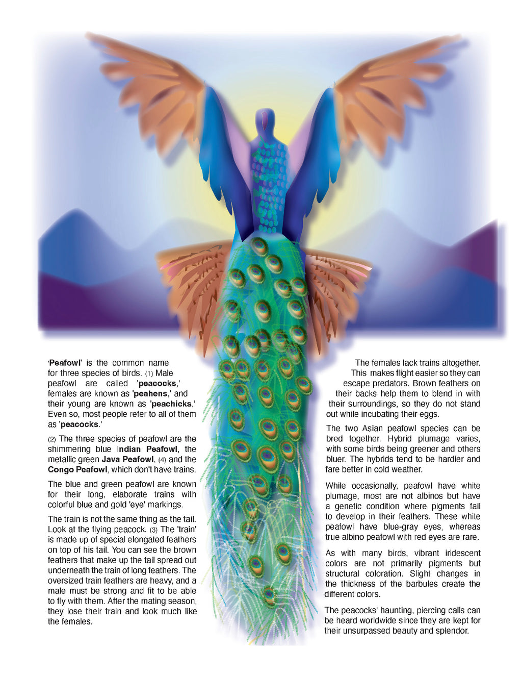 The Puzzling Superpowers of Birds