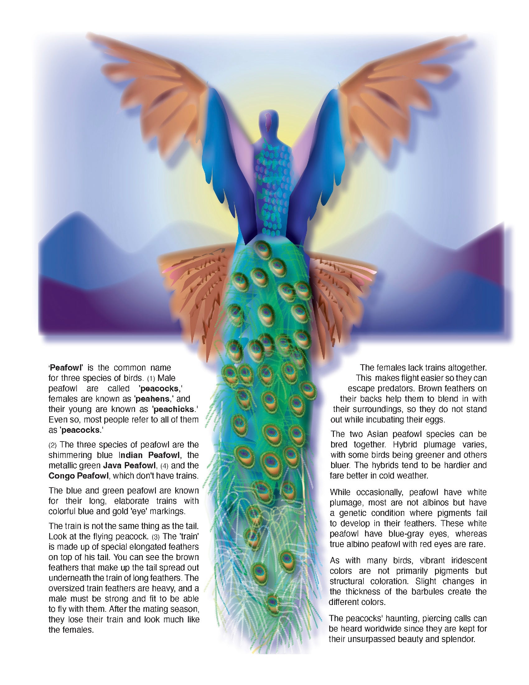 The Puzzling Superpowers of Birds