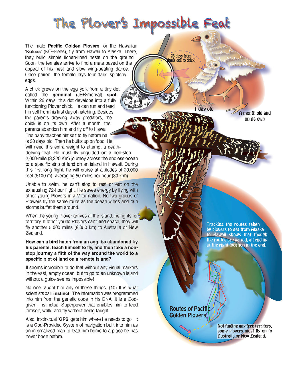 The Puzzling Superpowers of Birds