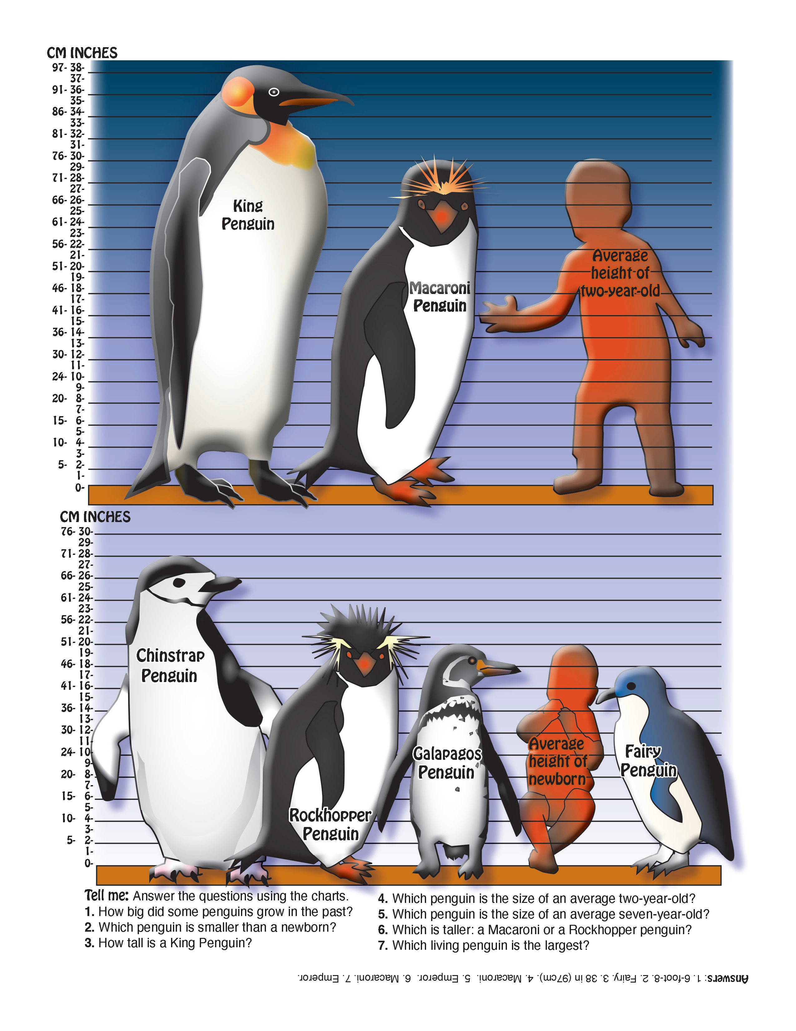 The Puzzling Superpowers of Birds