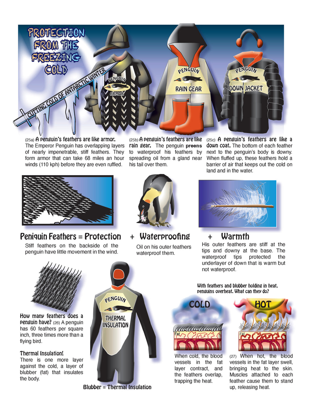 The Puzzling Superpowers of Birds