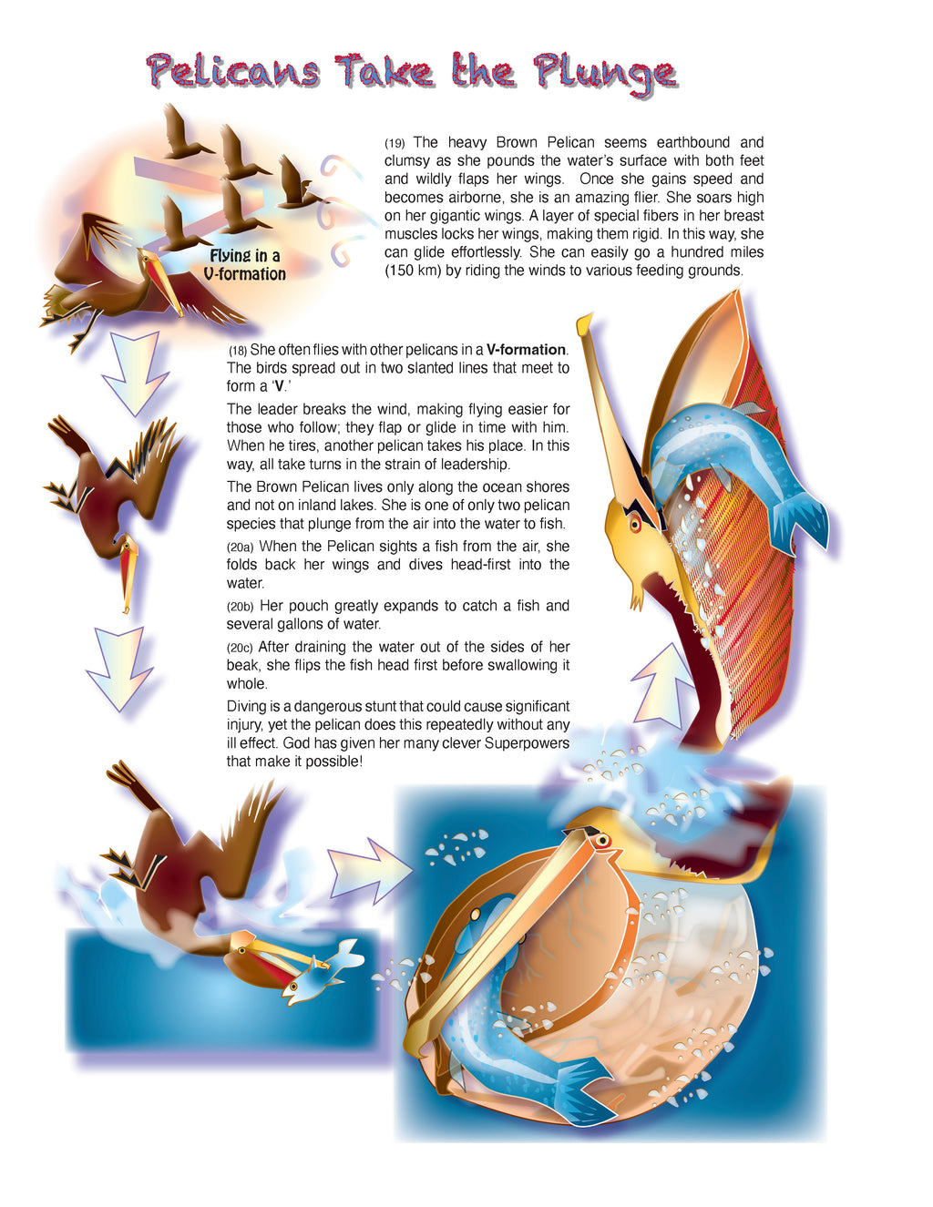 The Puzzling Superpowers of Birds